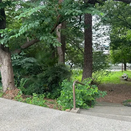 道路と白子川の間の緑地です。トイレ...