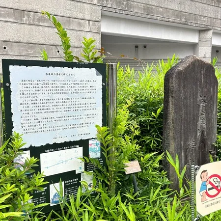 公園というより、二股に分かれる道路...