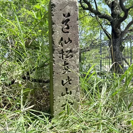 東郷平八郎が、長崎に来た。