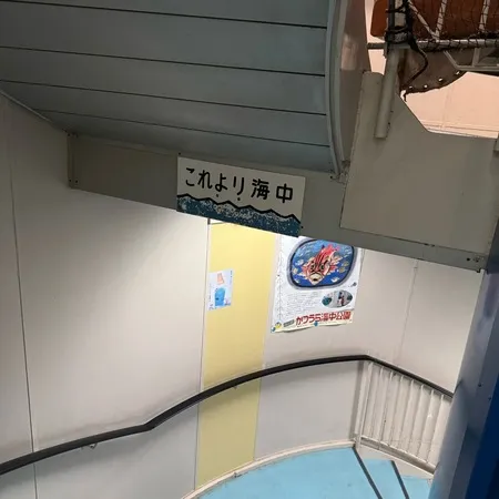 海の中のお魚に子どもは大興奮！海の...