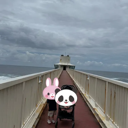 海の中のお魚に子どもは大興奮！海の...