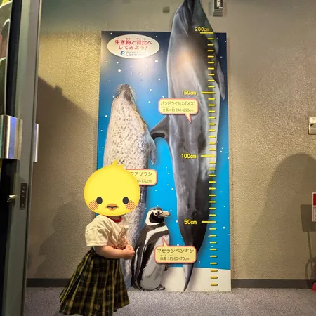 小さな子にもおすすめの水族館とのこ...