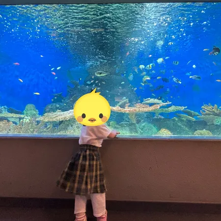小さな子にもおすすめの水族館とのこ...