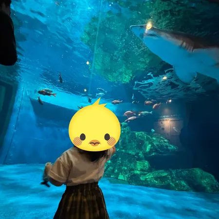 小さな子にもおすすめの水族館とのこ...