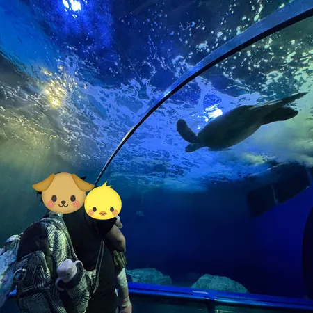 小さな子にもおすすめの水族館とのこ...