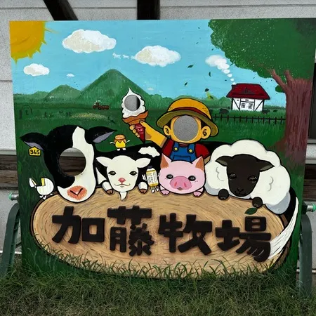 年に何回か遊びに来ています。今回初...