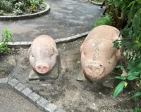 【ユーザ投稿】 中目黒駅東口から徒歩数分のビルと線...