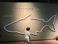 動物と乗り物が大好きな1歳10ヶ月...