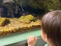 動物と乗り物が大好きな1歳10ヶ月...