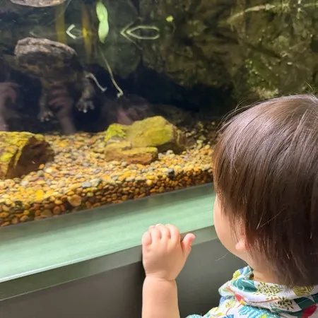 動物と乗り物が大好きな1歳10ヶ月...