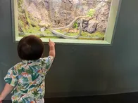 動物と乗り物が大好きな1歳10ヶ月...