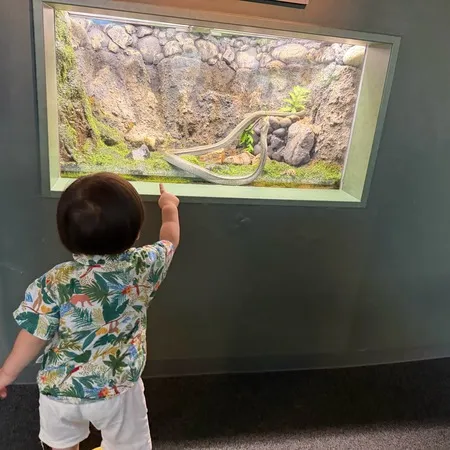 動物と乗り物が大好きな1歳10ヶ月...
