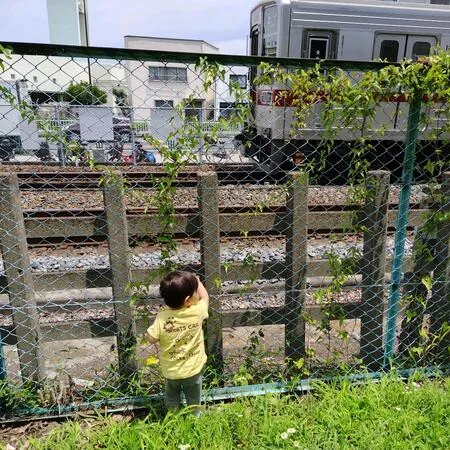 東武亀戸線東あずま駅近くの公園。こ...
