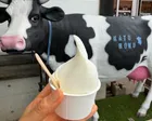 メニューが豊富!アイスだけではなく...