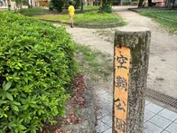 お手洗いもあり、緑もあり、暑くても...