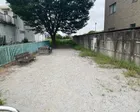 公園というより広場。