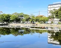 【ユーザ投稿】 大きな池がシンボルの公園です。訪問...