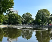 【ユーザ投稿】 大きな池がシンボルの公園です。訪問...