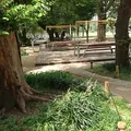 中野四季の森公園