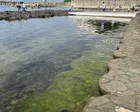 お盆休みの3連休、水族館帰りに寄り...