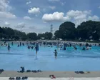 毎年恒例のしらこばと、行って来ました。