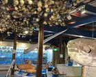 資料館に入ると、大きなサメとマンボ...