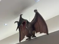 🦖 福井県らしさを感じられる、恐竜...