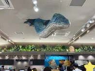 🦖 福井県らしさを感じられる、恐竜...