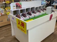 🚗 のと里山海道の途中にある「道の...