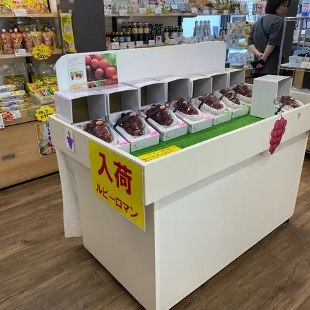 🚗 のと里山海道の途中にある「道の...