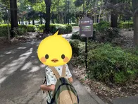 広い芝生とじゃぶじゃぶ池があり、図...