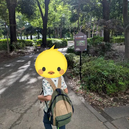 広い芝生とじゃぶじゃぶ池があり、図...