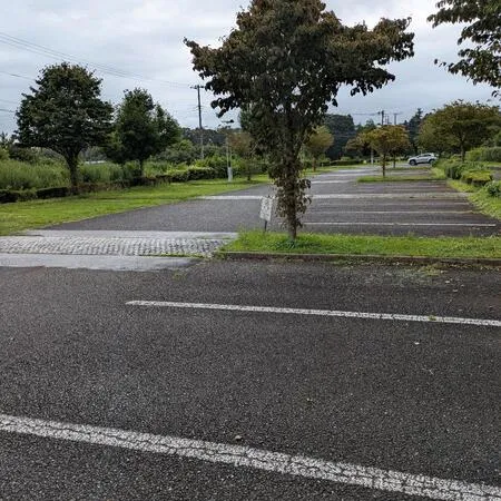 朝9時開館でお伺いし、庭の散策やガ...