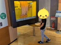 朝9時開館でお伺いし、庭の散策やガ...
