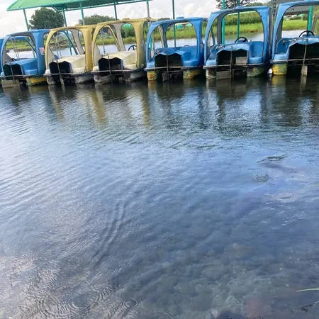 【水上アスレチック以外の、あそび ...