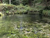 はじめての紙すき体験に行ってきまし...
