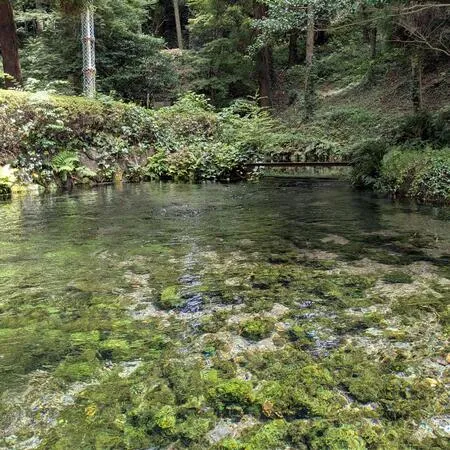 はじめての紙すき体験に行ってきまし...