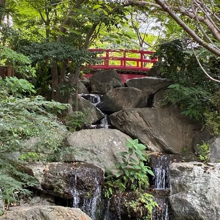 日本庭園がおすすめです。夏は滝から...