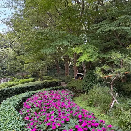 日本庭園がおすすめです。夏は滝から...