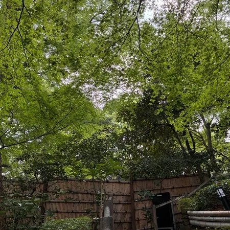 日本庭園がおすすめです。夏は滝から...