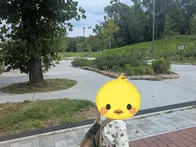広い公園の一角、緑道側（緩やかな坂...