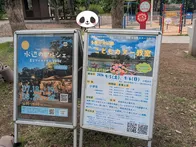 広い公園の一角、緑道側（緩やかな坂...