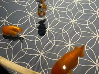 スカイツリーはいつも色々な色に点灯...