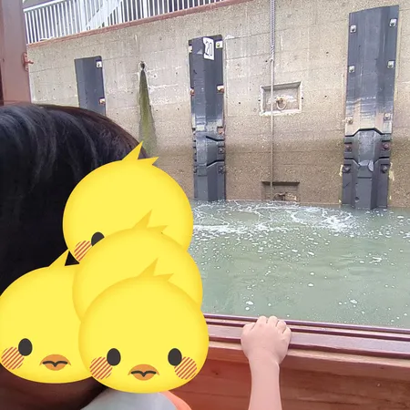 パナマ運河体験クルーズに事前予約を...