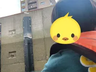 パナマ運河体験クルーズに事前予約を...