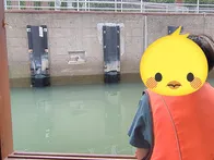 パナマ運河体験クルーズに事前予約を...