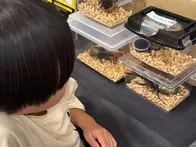 恐竜博物館と、期間限定の昆虫博物館...