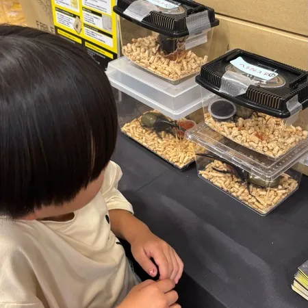 恐竜博物館と、期間限定の昆虫博物館...