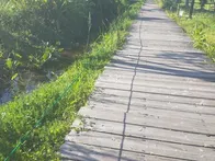 何度か沖縄を訪れていましたが、今回...