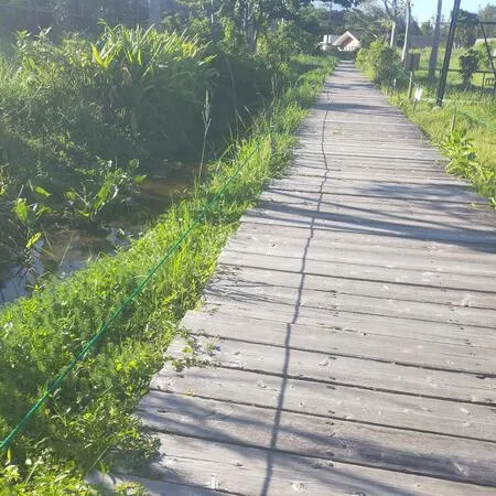 何度か沖縄を訪れていましたが、今回...